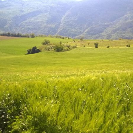 B&B Casale Giovannozzi Асколи Пичено Екстериор снимка